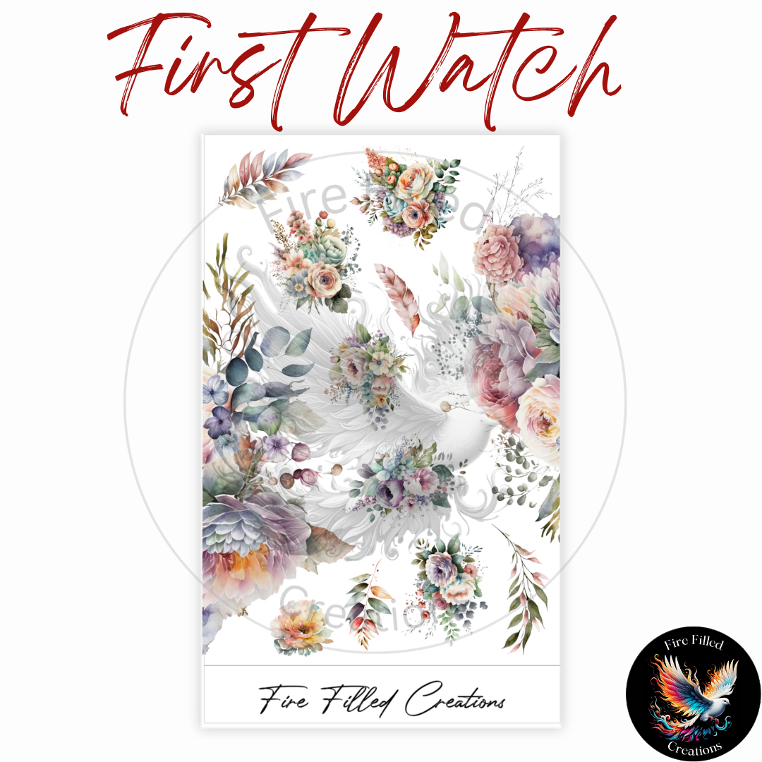First Watch Sticker Collection